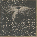 Neil Young - Mirror Ball 2LP