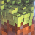 C418 - Minecraft Volume Alpha 1LP