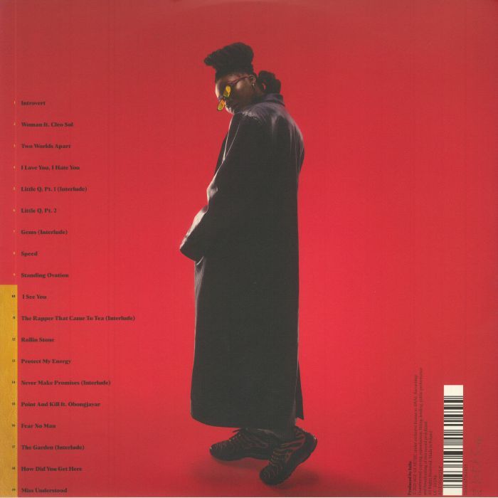 Little Simz - Sometimes I Might Be Introvert 2LP