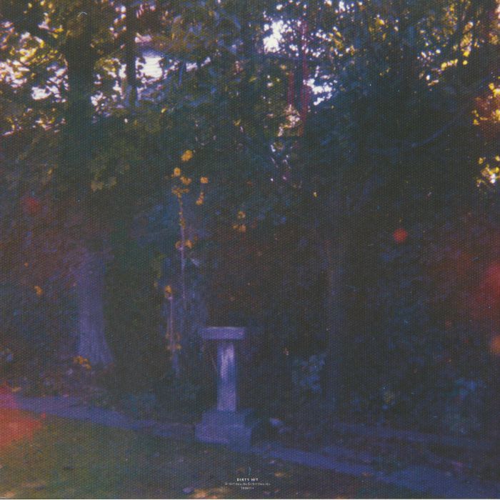 Wolf Alice - Visions Of A Life 2LP