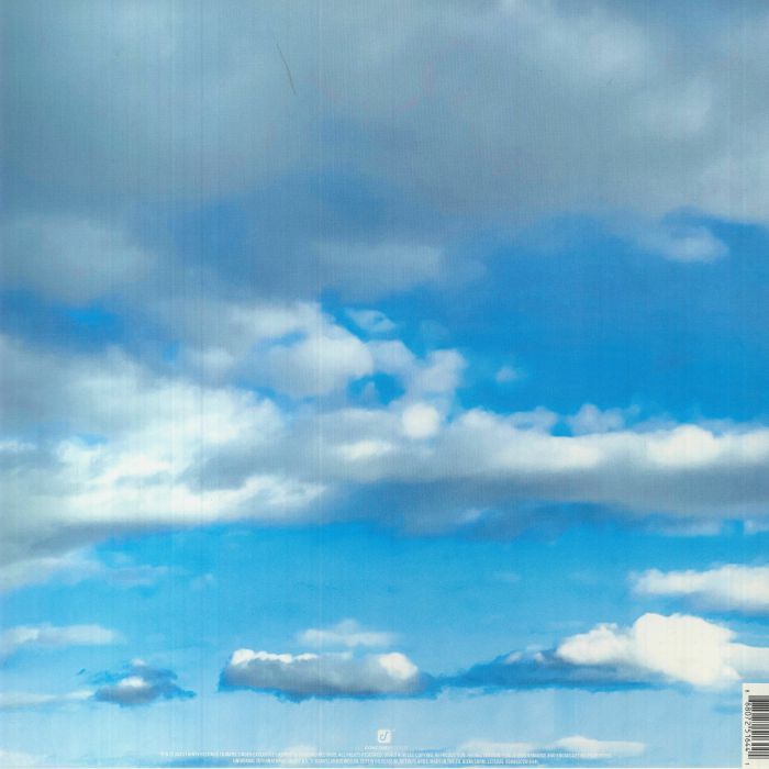 Thirty Seconds To Mars - It's The End Of The World But It's A Beautiful Day 1LP